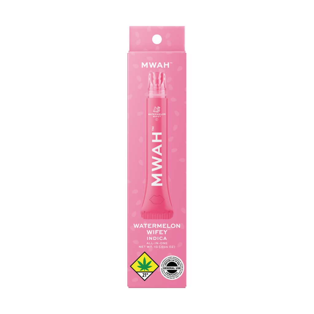 MWAH pickup: Watermelon Wifey lip gloss pen in its retail packaging